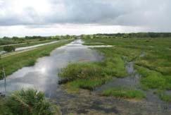 Rise on Saltwater Intrusion in