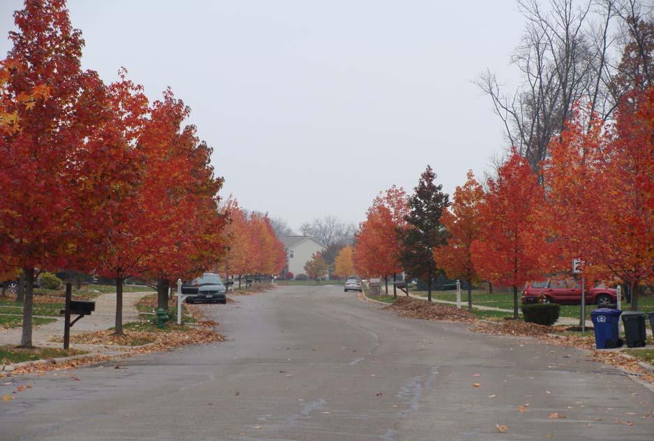 An Analysis of Public Tree Benefits for Dublin, Ohio By T.