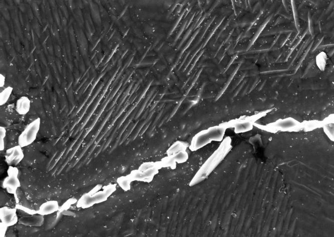 500 nm Figure 11. SEM in-lens image of the typical microstructure of 244 alloy after a 760 o C (1400 o F) / 1,000 h thermal exposure. Figure 12.