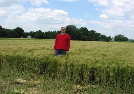 Barley Breeding Was Accomplished at Virginia Tech Prof.