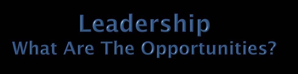 Build leadership capacity Adopt a shared vision and model (common language) for leadership among all levels of the organization Provide ongoing leadership training for