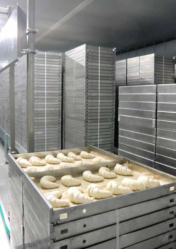 Conveying systems for peelboards and proven dough