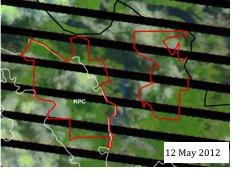 Finding 1: The land cover in KPC s two Timber Clearing Permit blocks shows no