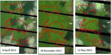concession. This is shown on Image 1. This decision by PIP shows the concrete implementation of the GAR forest conservation policy.