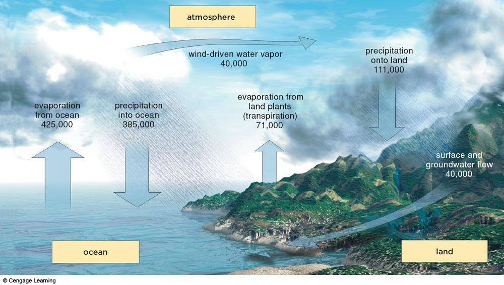 The Hydrologic Cycle - FYI A Global Water Crisis Humans are disrupting the water cycle Salinization of soil due to