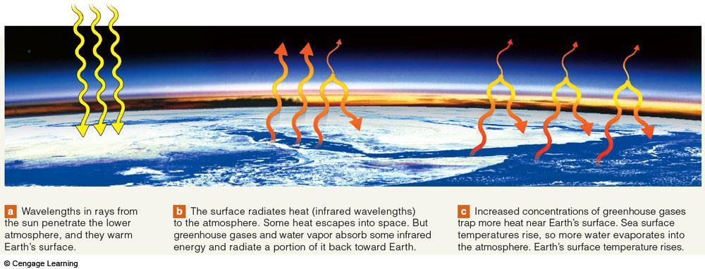 The Greenhouse Effect Gasses absorb wavelengths of visible light and transmit them toward Earth s surface The surface absorbs the wavelength and then emits longer, infrared wavelengths heat.