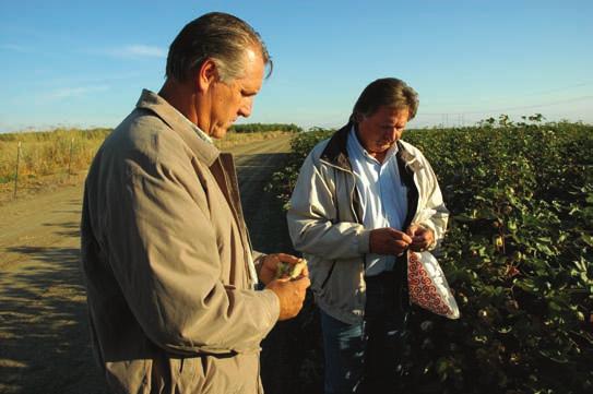 Windfall Farms- Mark Fickett and Frank Williams SUSTAINABLE COTTON PROJECT Farmer Profiles Partners and long-time cotton growers Frank Williams and Mark Fickett were willing to innovate and give SCP