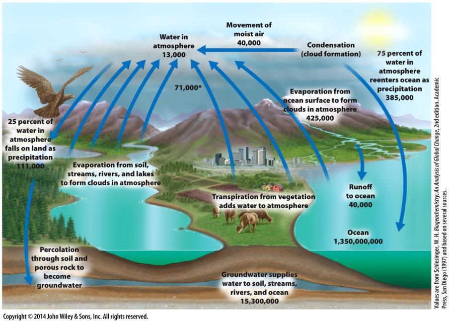 The Hydrologic Cycle Water circulates among the ocean, land, and atmosphere Creates a renewable supply of water for