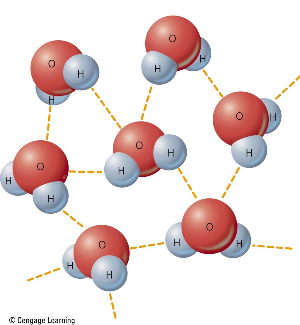 Slightly negative charge Hydrogen Bonds in Water