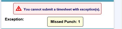 If there are any exceptions on your timesheet, the following
