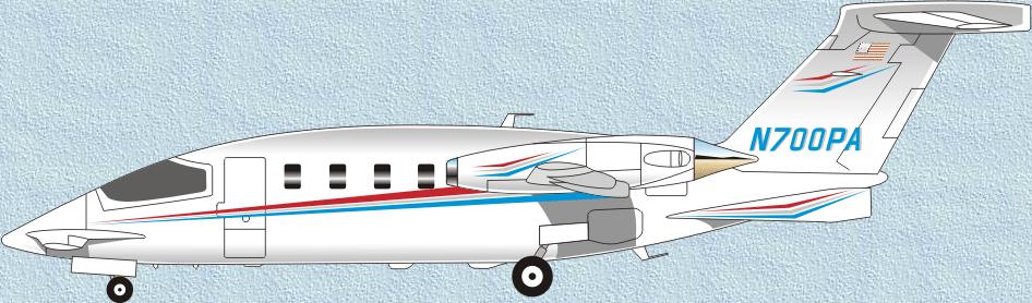 Aircraft Renderings (Paint & Interior) Elegant color combinations express your personality and distinguish your aircraft from others.
