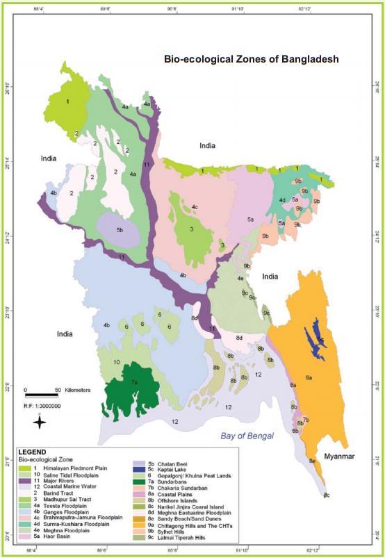 1.4 State of biodiversity and ecosystem services 1.4.1 State of biodiversity Given its small size, Bangladesh has an impressive variety of ecosystems, which support and equally varied flora and fauna.