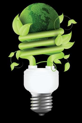 ENERGY EFFICIENCY GAINS How Initiating a 3-Step Program to Encourage Energy