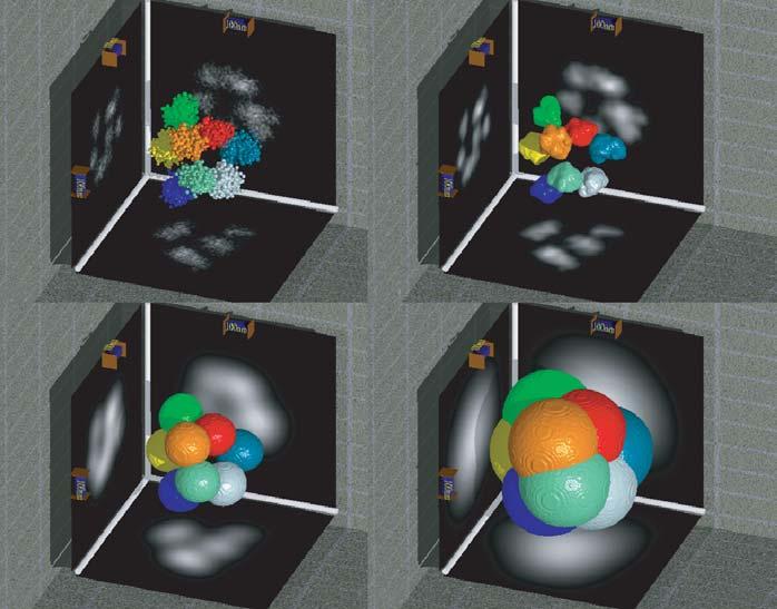 (a) (b) (c) (d) Figure 2 Virtual microscopy of improvement of effective structural resolution by multispectral labeling.