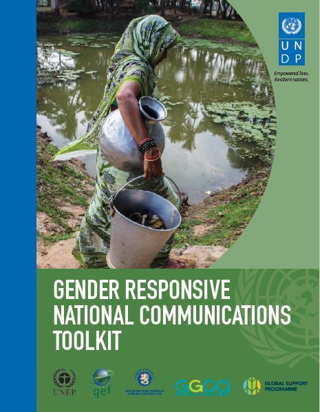 Initiate gender integration into the planning process Two key areas of work: Gender perspective into