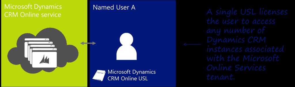 This licensing flexibility enables customers to license the solution based on how their users use Dynamics CRM functionality, and mix- and-match