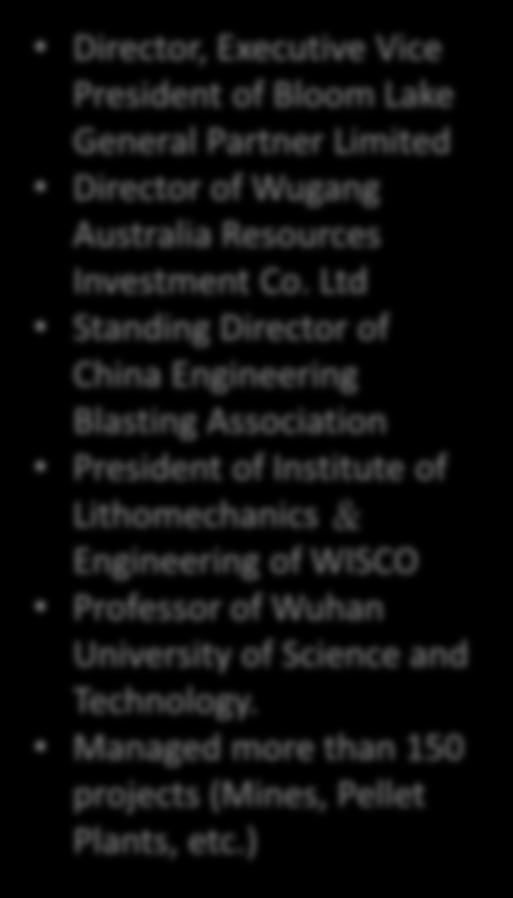 Ltd Standing Director of China Engineering Blasting Association President of Institute of Lithomechanics &