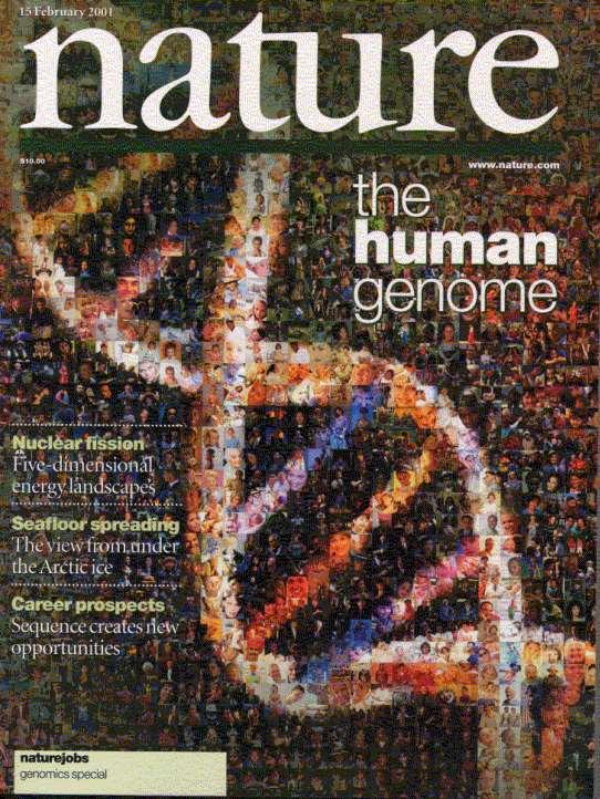 The Completion of the Human Genome Sequence June 2000 White House announcement that the majority of the human genome (80%) had been sequenced (working draft).
