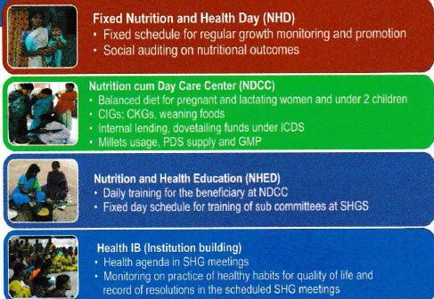 Figure 2: The community managed health and nutrition approach used in AP.