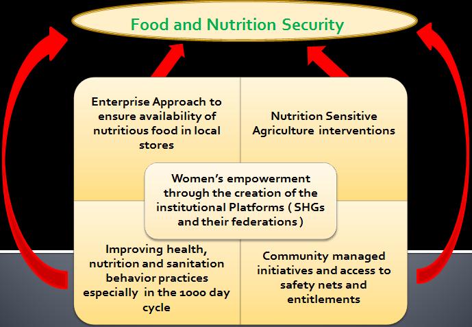 C) FRAMEWORKS FOR DESIGN AND IMPLEMENTATION OF HEALTH, NUTRITION, FOOD SECURITY AND SANITATION PROGRAMS The various diagnostics and design exercises and workshops lead to development of various