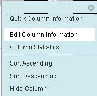 Roll your mouse over the head of the TOTAL column and click the gray arrow button that appears. From the context menu that appears, select EDIT COLUMN INFORMATION.