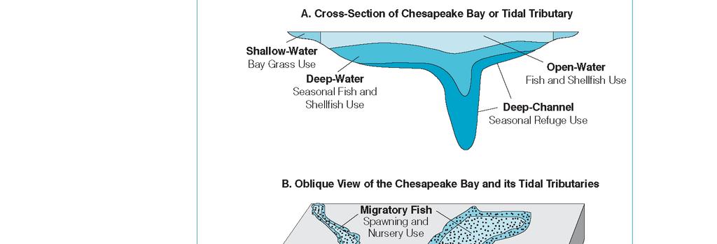 Water Quality Standards of Deep Water, Deep Channel, Open