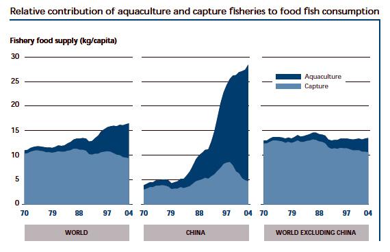 Catch of wild fish is decreasing, and aquaculture production is