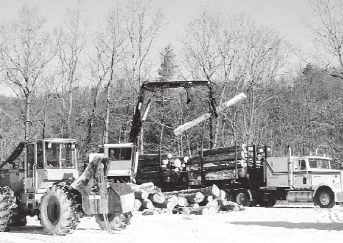 Lesson 7 A crane loads logs onto the truck that will take them to the sawmill. Dogwood Ridge Photography where a truck is waiting. Another big machine picks up the logs and stacks them onto the truck.