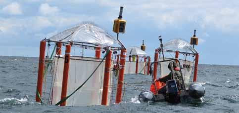 OCEAN ACIDIFICATION RESEARCH IS IN ITS INFANCY Ocean acidification is a relatively new field of study, with 62% of the research papers on the subject published since 2004.