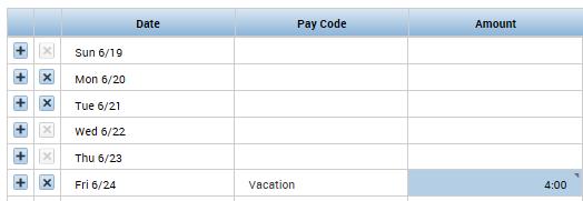 Edit Pay Code Step 6 After the Amount window disappears, you are taken back to the employee timecard where you
