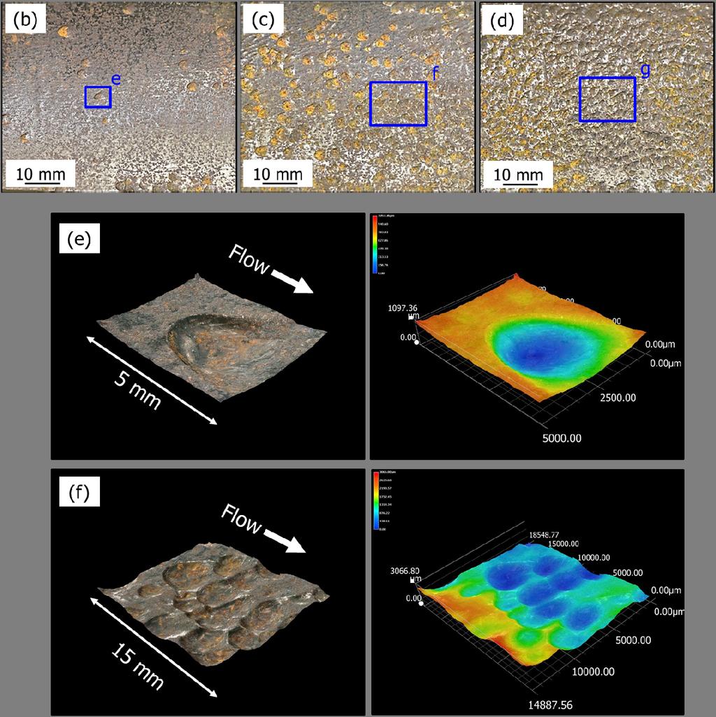 Transition in the morphology in terms of surface roughness on the