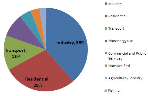 Asia-Pacific Energy Consumption by Sector in 2008 million tons of oil equivalent % Industry 1,005.8 39% Residential 35.4 28% Transport 350.8 13% Nonenergy use 23.