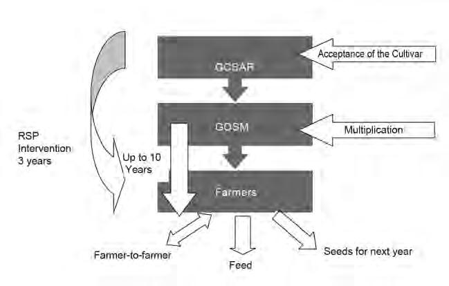 337 Figure 5. Flow diagram of seed distribution in Syria. Table 6.