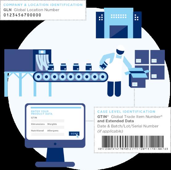 Supply Chain Role: Processor/Manufacturer GTIN Barcodes EDI GDSN GLN GTINs are created for each product and dispatch unit Batch/Lot or Serial Numbers are captured for each unit of product packed