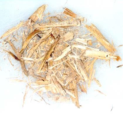 FUEL The main fuel in the raw sugar process industry is bagasse, which is burnt in a steam boiler.