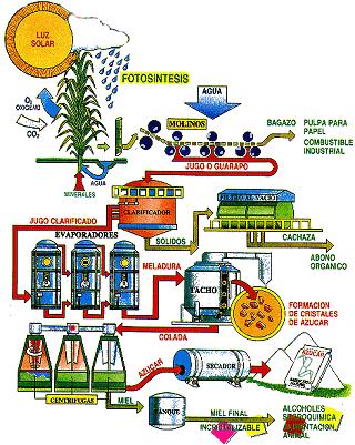 Overview of Sugar processing SUGAR CANE Washing Juice Extraction Juice Treatment Juice Treatment