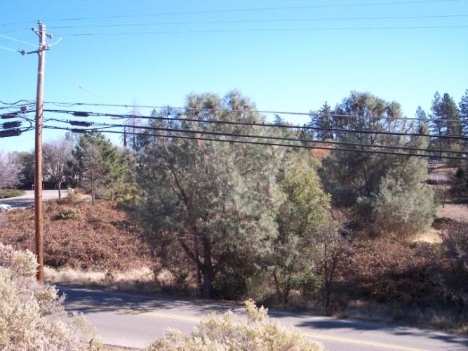 Figure 19: Site 6 Green Valley Road Photo