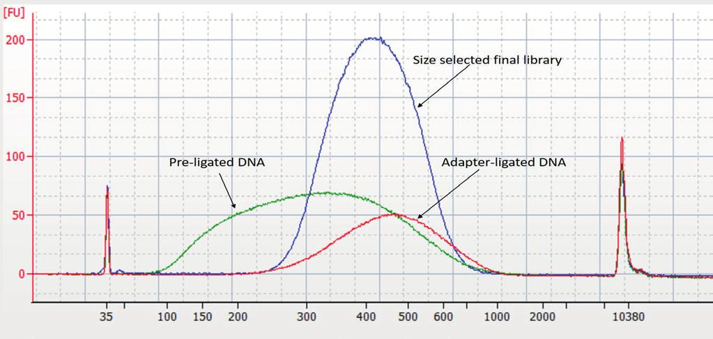 JetSeq Flex DNA Library Preparation Kit 8.6 Library Analysis 8.6.1 Library Quality Check the quality of the library on a Bioanalyzer, Tapestation or similar equipment.