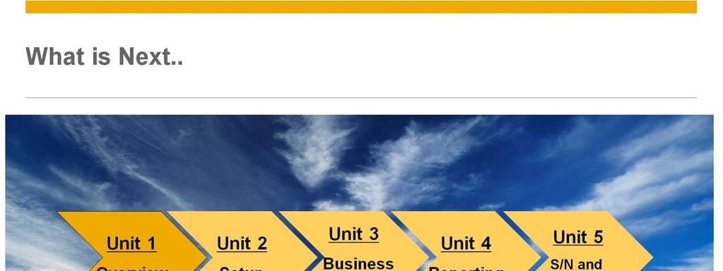 This course unit helps SAP Business One consultant to have a general understanding of the bin location set up process and the Business processes.