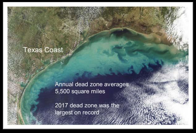 blooms/dead zones Contaminated groundwater Greenhouse gas emissions PM2.