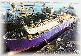 LNG Carrier Outlook LNG Demand LNG is a major share of the total natural gas currently consumed in several countries, particularly in Asia LNG imports to the US market are expected to rise