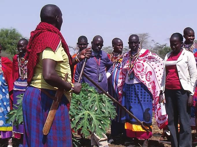 kenya: Maasai pastoralists Crops thrive despite drought Throughout their history, the maasai have relied solely on herding for survival, viewing their livestock as both a sign and source of wealth.