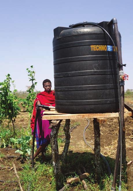 identify simple but sophisticated nuclear techniques that will enable the Maasai to make the most efficient use possible of their scarce water resources in order to have optimum production.
