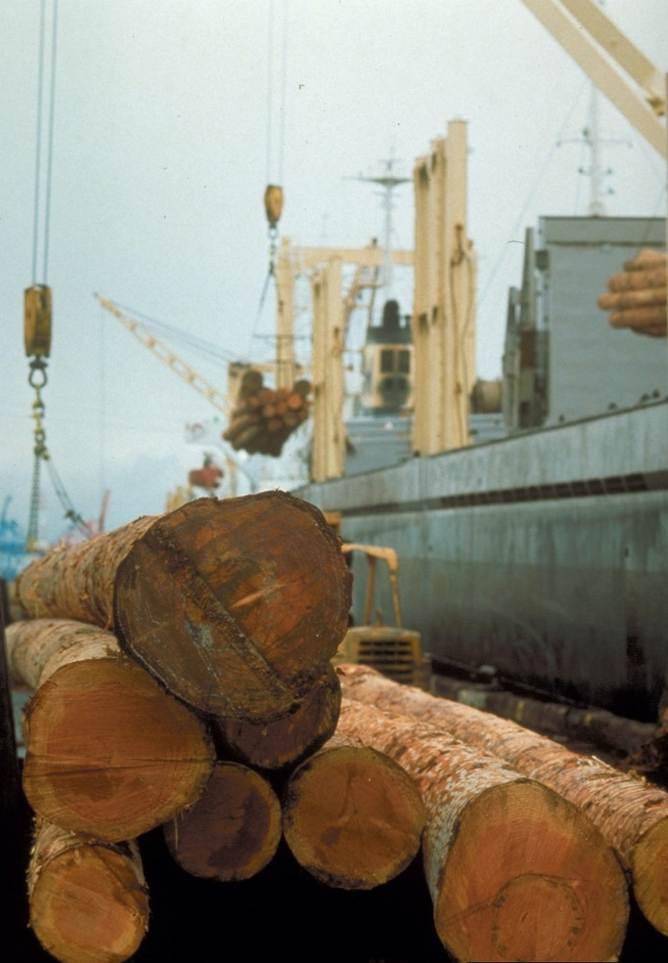 The majority of hardwood logs are used in sawmilling and the pulping industry.
