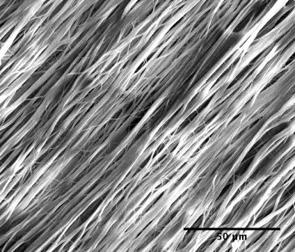 Cone 20 Section 3: Results The results of this project can be separated into the categories of nanofilms and nanofibers, both of which utilized materials consisting of poly (glycerol-sebacate) (PGS),