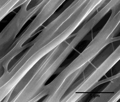 Nanofiber Results Nanofibers can be used as a scaffold for many tissue engineering applications as they exhibit many beneficial physical and mechanical properties.