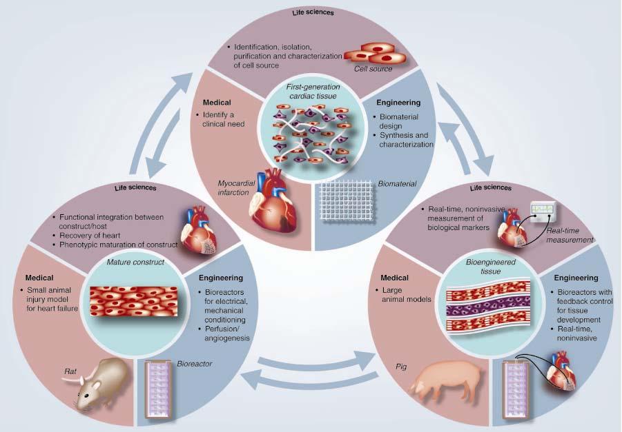 Figure 2.2 Core Technologies Required for Tissue Engineering.