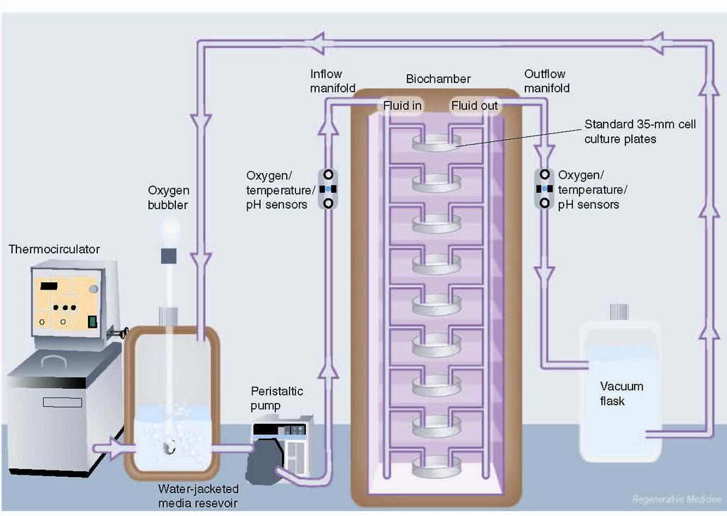 Figure 2.6 Micro-Perfusion for Heart Muscle. The biochamber consists of multiple independent stages to accommodate tissue culture plates.