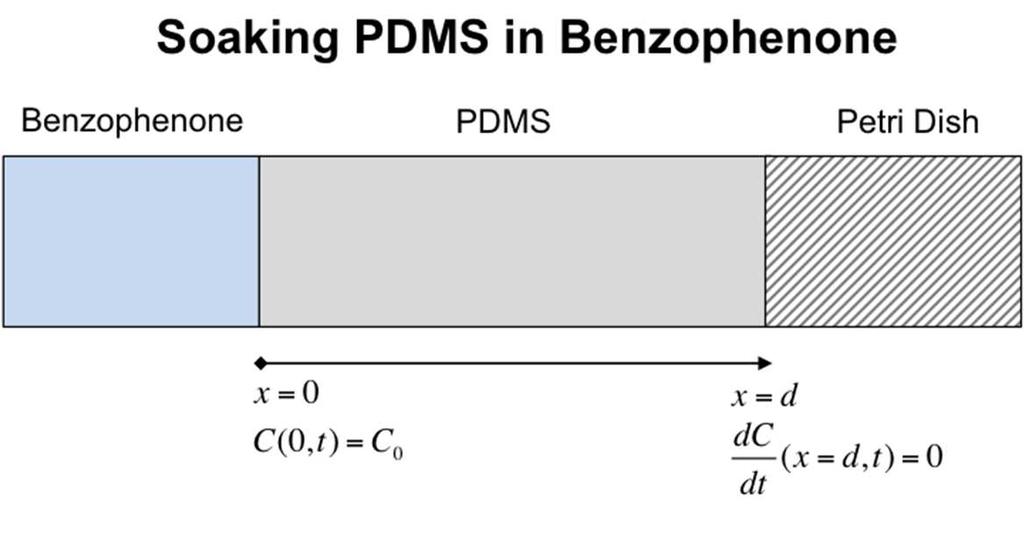 Figure 19: Boundary conditions for the finite different model of the diffusion of benzophenone