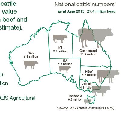 2.8 million dairy cattle 24.6 million beef cattle 1.2% to wagyu bulls (169,000 joinings in 2014) 2.